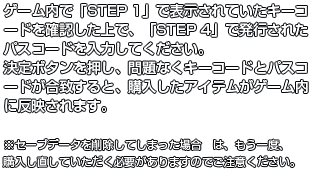 ゲーム内で「STEP 1」で表示されていたキーコードを確認した上で、「STEP 4」で発行されたパスコードを入力してください。